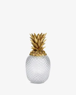 Ananas glaskrukke