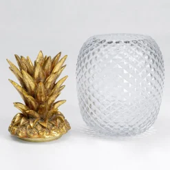 Ananas glaskrukke