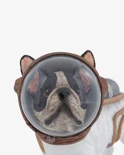 Astronaut hund
