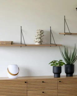 Cardiff LED lampe m/bluetooth højtaler