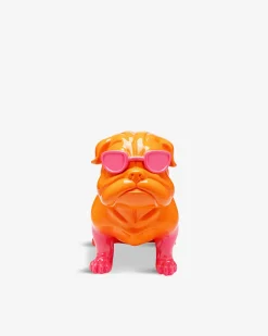 Fashion dog, orange