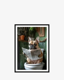 Mops på toilet galleri