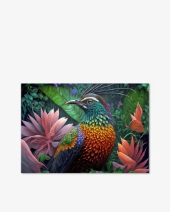 Paradise bird galleri